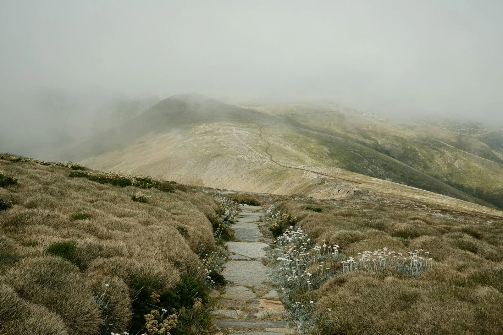 Ein Pfad, der bergauf führt und sich im Nebel verliert